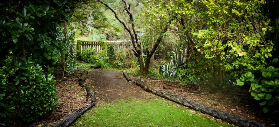 Bush walking